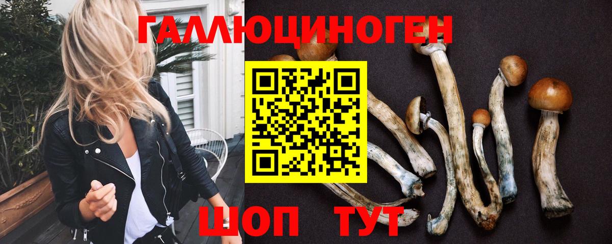 Петрозаводск  Галлюциногенные грибы Psilocybine cubensis  где можно купить наркотик  Вход с VPN 