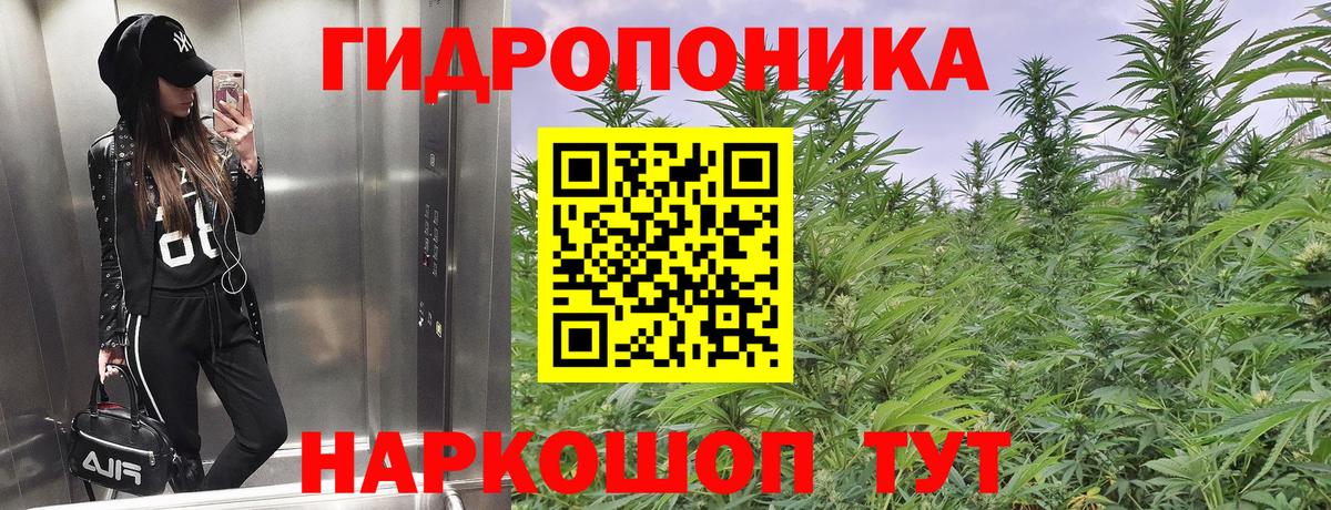 Петрозаводск  Каннабис MAZAR  Марихуана LSD WEED  Вход с VPN  Бошки марихуана план 